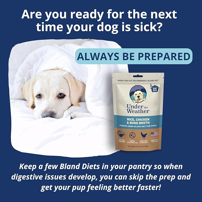 Under the Weather Bland Diet for Dogs | Easy to Digest for Sick Dogs |Always Be Ready| Contains Electrolytes - All Natural Freeze Dried 100% Human Grade Meats| 6 Pack- Chicken, Rice & Bone Broth - 6oz