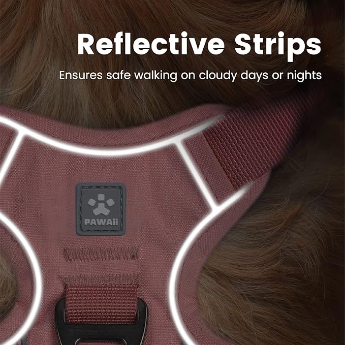 Pawaii Dog Harness for Small Dogs, Dog Harness with Pet ID Tag, No Choke Dog Harness, Adjustable Soft Padded Pet Vest with Easy Control Handle