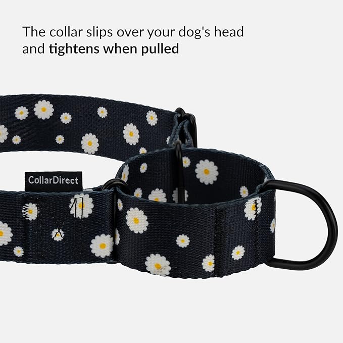 CollarDirect Martingale Collars for Dogs Heavy Duty Floral Pattern Female Safety Nylon Training Wide Collar Flower Design Large Medium (M, Neck Size 12"-17", Black)