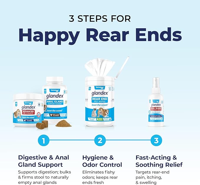 Glandex Anal Gland Soft Chew Treats with Pumpkin for Dogs Digestive Enzymes, Probiotics Fiber Supplement for Dogs Boot The Scoot (Pork Liver Chews, 60ct)