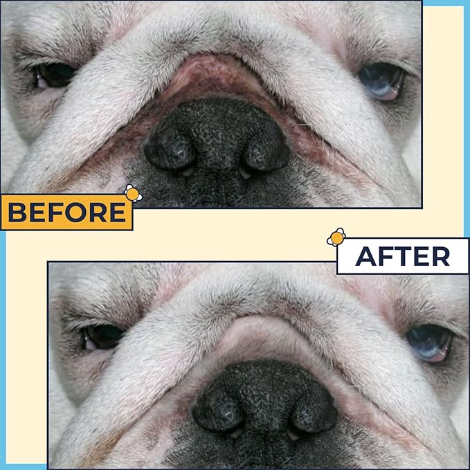 Wrinkle Paste for Bulldogs + Wrinkle Wipes French Bulldog- Wrinkle Cream for Dogs (Frenchie, English Bulldog, Pug)-Cleans Rashes,Tail Pockets- English Bulldog Harness Cream w/ Dog Face Wipes