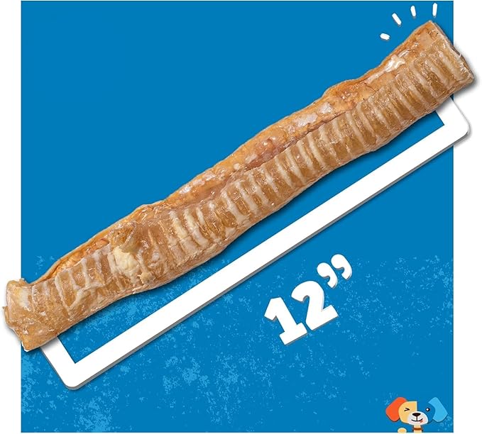 Jack&Pup 12" Beef Trachea for Dogs | All Natural Single Ingredient Dog Treat Dog Trachea Chews | Savory and Fun Treat for Dogs (3 Pack)