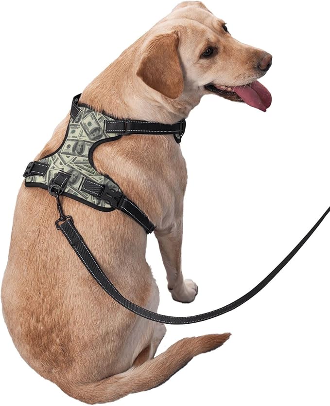 No Pull Dog Harness for Medium Dogs Easy Walk Dog Vest Adjustable Collars Harnesses & Leashes Set Breathable Oxford Outdoor Walking Safety Reflective Strip Dollar Cash Prints