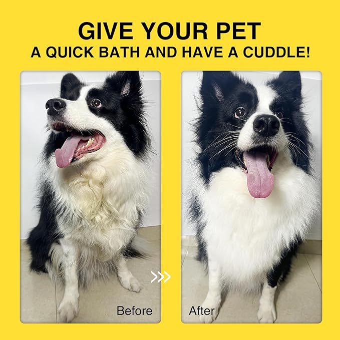 Pet Dogs Wipes Gloves 12PCS Cleaning, Cat Wipes Dog Bath Wipes, Dry Cleaning Gloves for Cats&Dogs, Pet Wash Free Gloves, Pet Bath Gloves,Pet Fur Care, Aloe Extra Nourish and Cleaning 2Pack