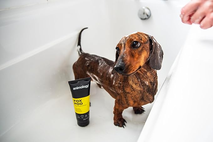 Dog Fox Poo Shampoo 250ml