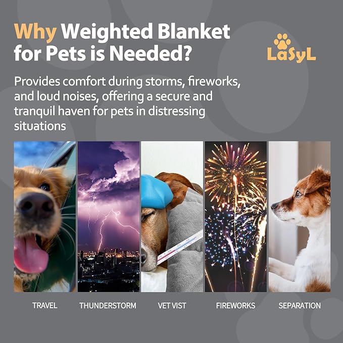 LaSyL Weighted Blanket for Pets | Thunder Blanket for Dogs Anxiety | Premium Soft Minky | Relaxation & Calming & Anti Anxiety | Used in Car, Bed, Couch | Dark Grey, Washable Medium 32" L x 40" W
