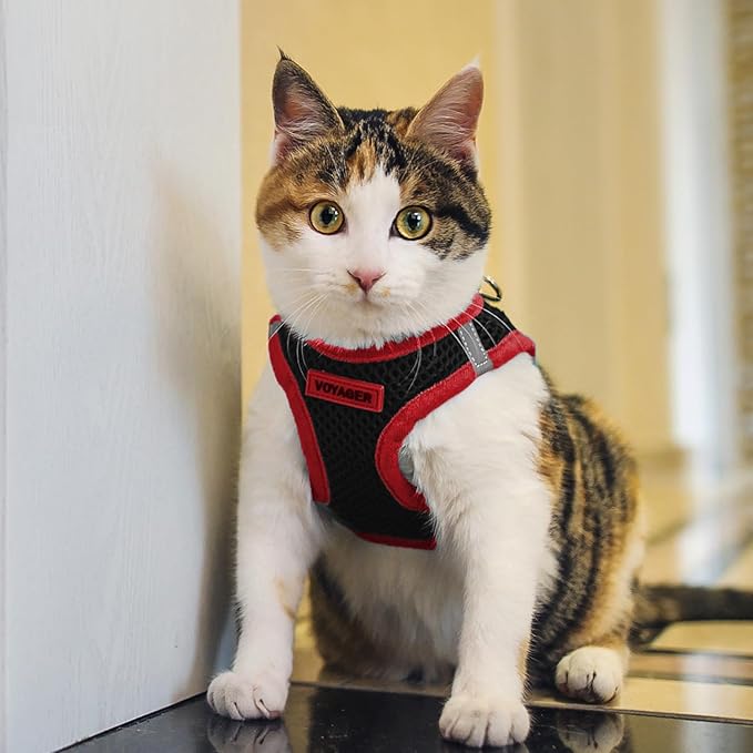 Voyager Step-in Air Dog Harness - All Weather Mesh, Reflective, No Pull Harness for Small, Medium Dogs, Cats - Secure with Hook & Loop Fastener, Buckle, Double D-Rings - Black/Red Trim, L