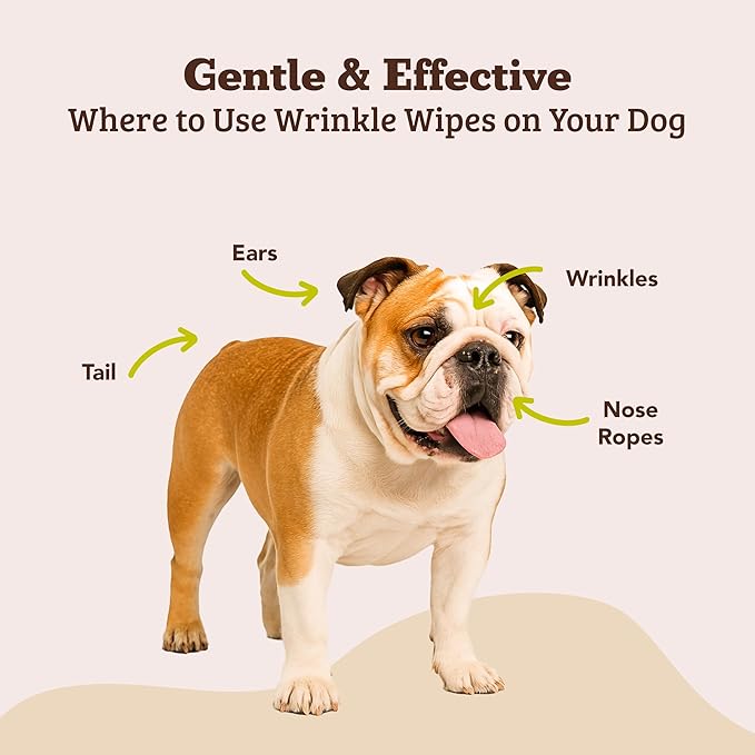 Natural Dog Company Wrinkle Wipes for Dogs, 100 Count, Hypoallergenic Dog Wipes, Wrinkle Wipes French Bulldog, Cleaning & Deodorizing, Dog Wipes for Grooming Faces, Paws & Butts