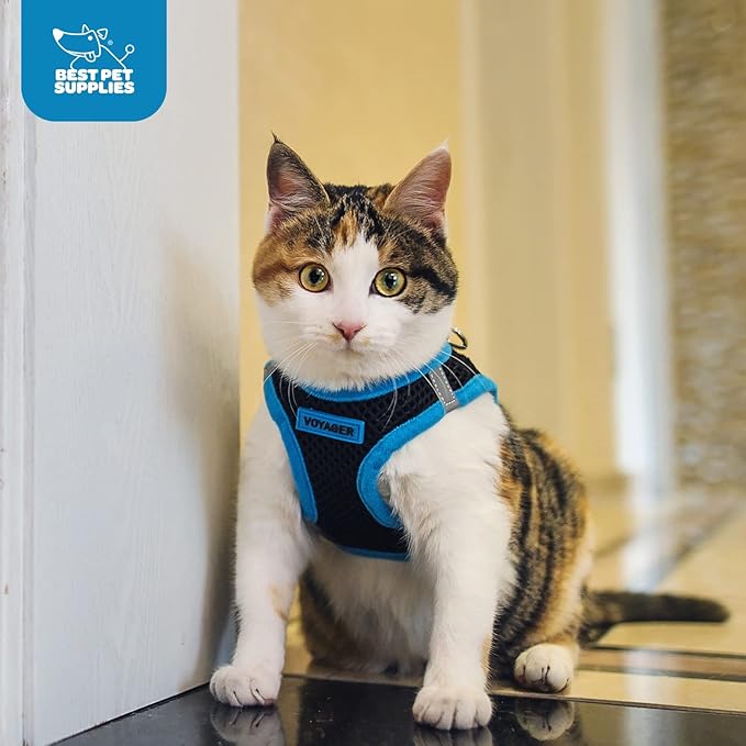 Voyager Step-in Air Dog Harness - All Weather Mesh, Reflective, No Pull Harness for Small, Medium Dogs, Cats - Secure with Hook & Loop Fastener, Buckle, Double D-Rings - Black/Blue Trim, L
