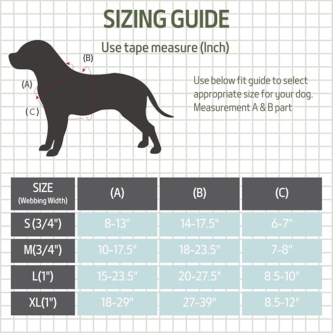 Casual H Dog Harness, No-Pull Pet Harness with 2 Leash Clips, Twilight Forest Gradiant Color, Adjustable Soft Padded Dog Vest for Small Medium Large Dogs (L)