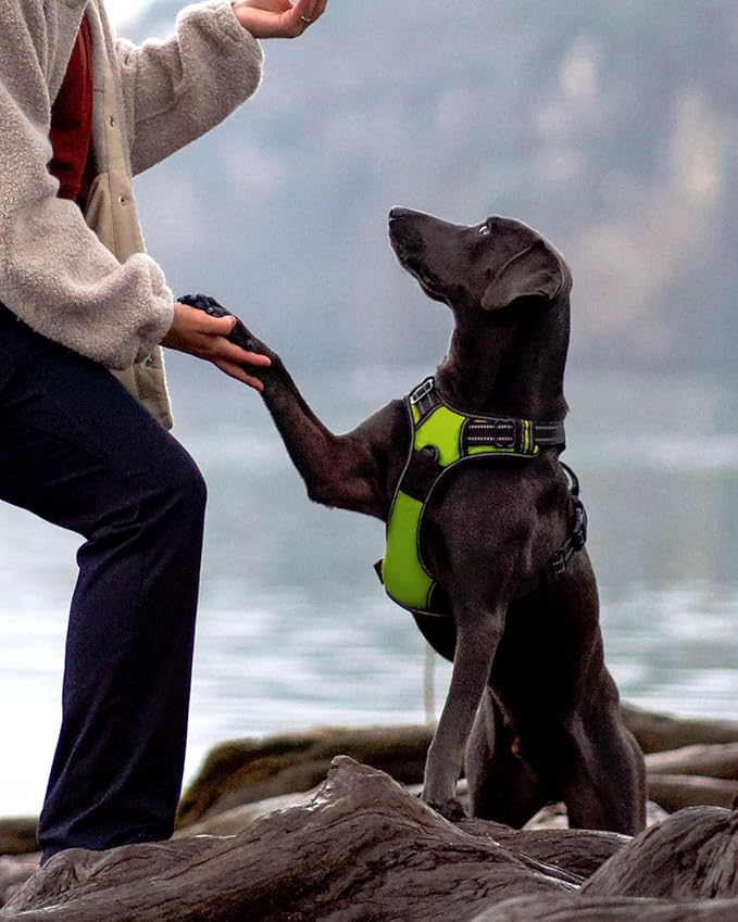 Joytale No Pull Dog Harness for Large Dogs, Reflective Pet Vest with Front Clip, Adjustable Soft Padded Harnesses with Easy Control Handle for Training and Walking, Green, L