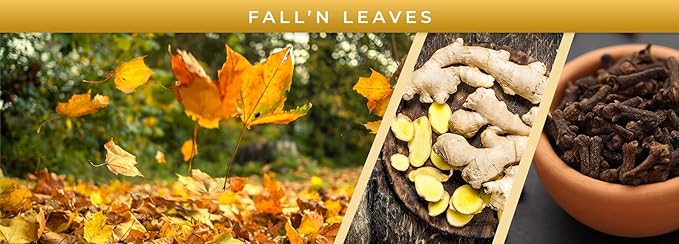 Pet Odor Exterminator Candle, Fall 'N Leaves - Pack of 2