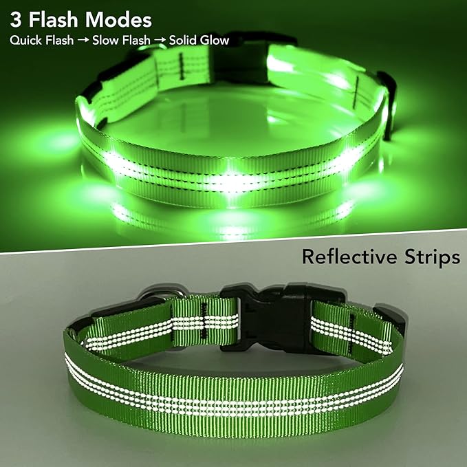 BSEEN Light Up Dog Collars - Glowing LED Dog Collar, Reflective Puppy Collar, Adjustable Lighted Dog Collar, Rechargeable Pet Collar for Night Walking (Green-II, Large)