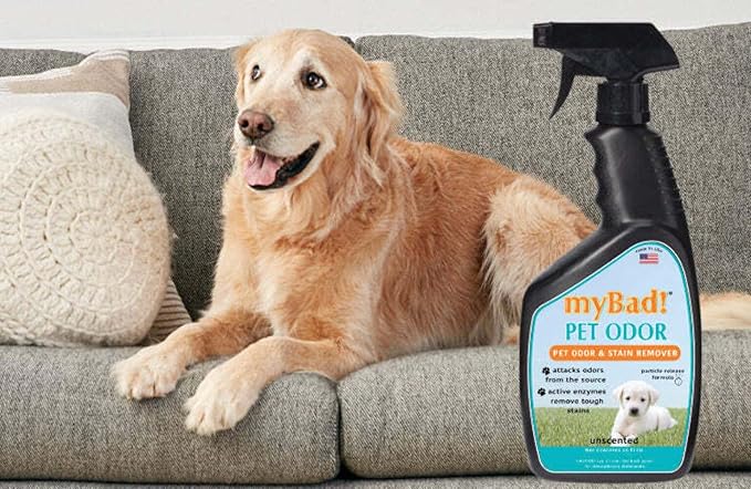 Pet Stain & Odor Eliminator Spray 24 oz