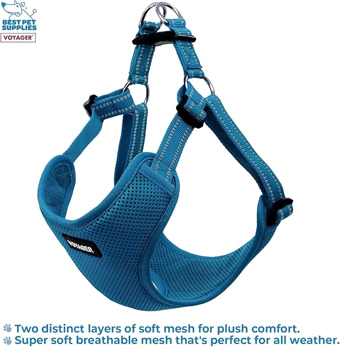 Best Pet Supplies Voyager Adjustable Dog Harness with Reflective Stripes for Walking, Jogging, Heavy-Duty Full Body No Pull Vest with Leash D-Ring, Breathable All-Weather - Harness (Turquoise), XS