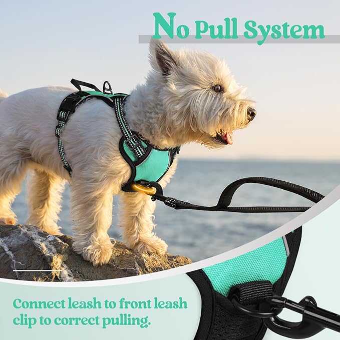 rabbitgoo Dog Harness, No-Pull Pet Harness with 2 Leash Clips, Adjustable Soft Padded Dog Vest, Reflective No-Choke Pet Oxford Vest with Easy Control Handle for Small Dogs, Turquoise, XS