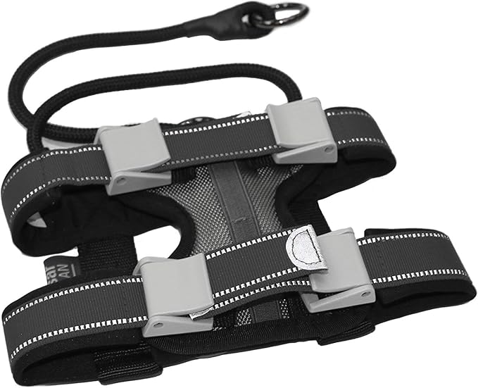 Cesar Millan Pack Leader Collar™ - Training Collar of The Dog Whisperer (Small, Grey)