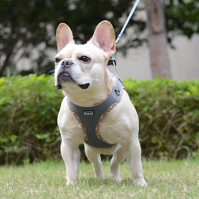 Mercano Soft Mesh Dog Harness and Leash Set, No-Chock Step-in Reflective Breathable Lightweight Easy Walk Escape Proof Vest Harnesses with Safety Buckle for Small Medium Dogs, Cats (Grey, XL)
