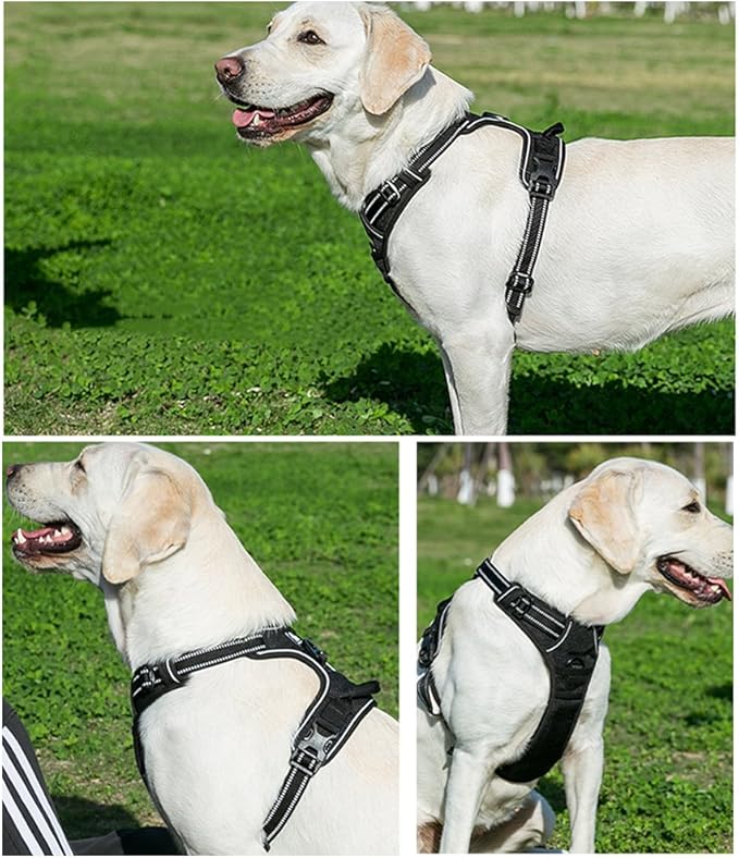 OLizee® New No Pull Dog Harness Outdoor Adventure Reflective Markings Pet Vest with Handle Adjustable Protective Nylon Walking Pet Harness Variety of Sizes and Colors,Black S