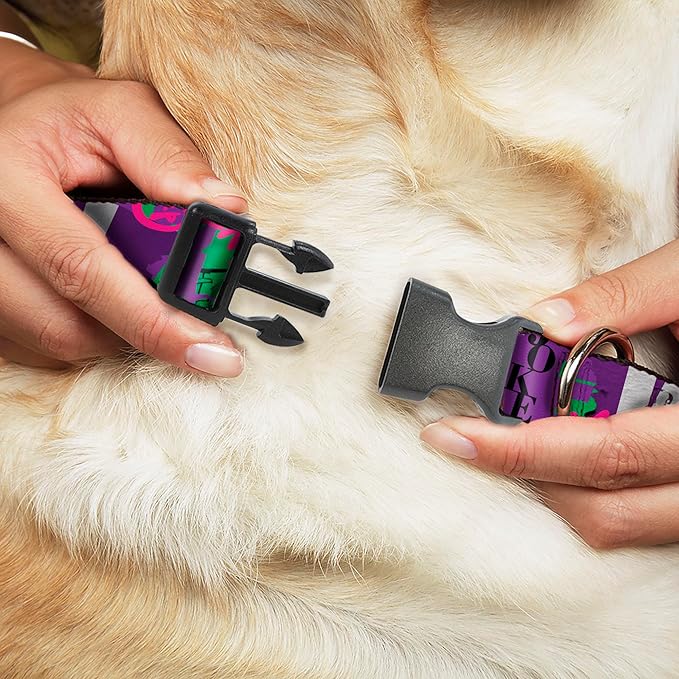 DC Comics Pet Collar, Dog Collar Plastic Buckle, The Joker Wanted Smiling Pose and Graffiti Purples Greens, 8.5 to 12 Inches 0.5 Inch Wide