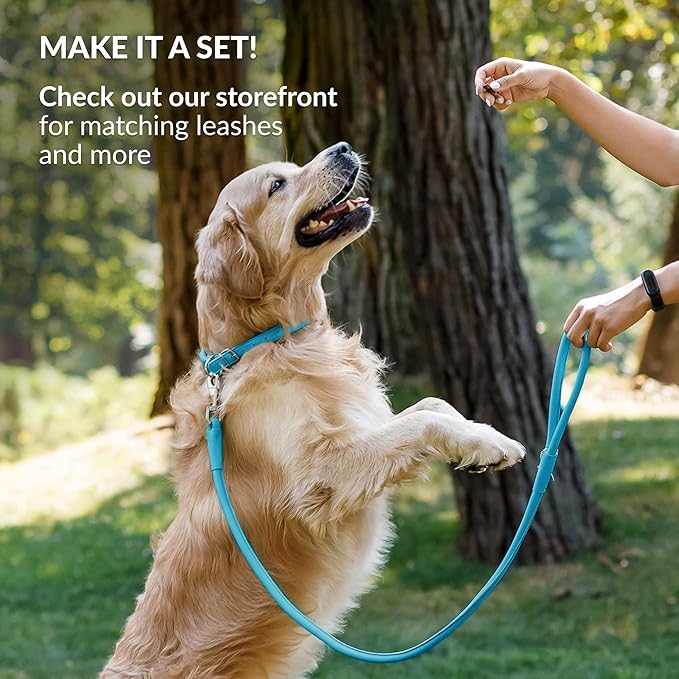 CollarDirect Rolled Leather Dog Collar, Soft Padded Round Puppy Collar, Handmade Genuine Leather Collar Dog Small Large Cat Collars 13 Colors (15-19 Inch, Light Blue Smooth)