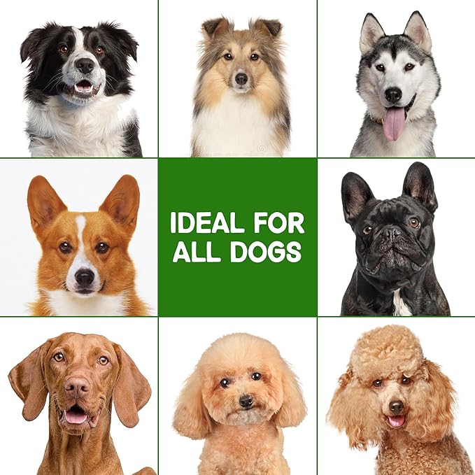 Dog Shampoo and Conditioner for Allergies & Itching -Natural Camellia Oil Pet Shampoo for Sensitive Skin, Deshedding, Smooth Coat for Smelly Dogs,|Brightening Luster | 16 oz