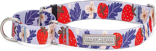 Lucky Love Dog Martingale Collar, Premium Fun Girl No Slip Collars, Strawberry Martingale Large Dog Collar, Great for Whippets, Greyhounds, and More (Sweet Berry, Large)