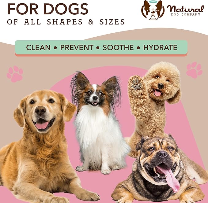 Natural Dog Company Grooming Wipes with Aloe Vera, Cleanses, Soothes, & Deodorizes, Fragrance Free, Hypoallergenic, Biodegradable Wipes - Dog Wipes for Ear, Paws, Face and Butt Wipes (200 Wipes)