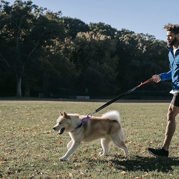 Martingale Collar for Training Dogs. Adjustable Reflective Dog Collars with Buckle- NO Pull-Prevents Slipping Out, for Medium Large XL Dogs. Helps with Strong pullers (M, Pink)