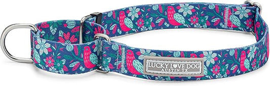 Lucky Love Dog, Whimsical Bird Martingale Dog Collar, Vivid Pink, Mint, Blue Flowers Medium No Slip Dog Collar - (M, Carriebelle Mart)