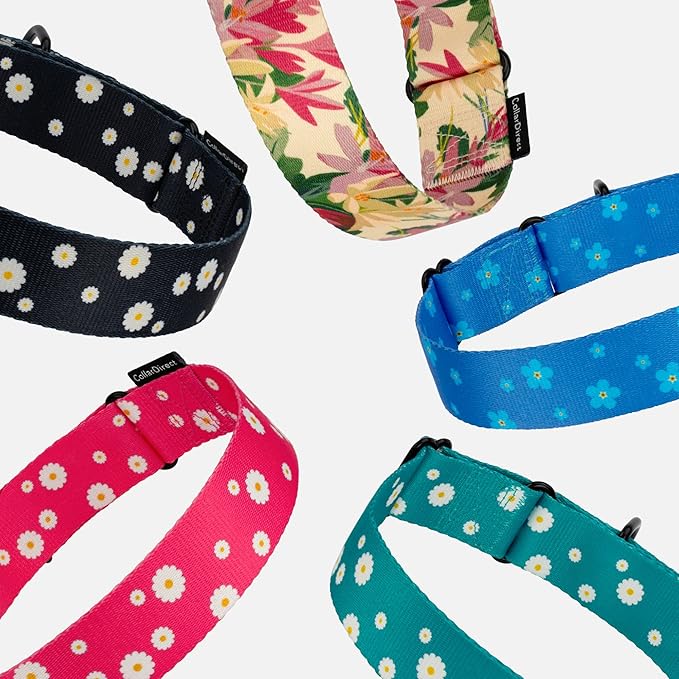 CollarDirect Martingale Collars for Dogs Heavy Duty Floral Pattern Female Safety Nylon Training Wide Collar Flower Design Large Medium (XL, Neck Size 19"-24", Black)