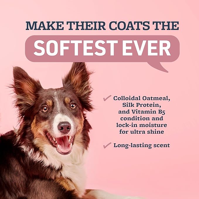 Veterinary Formula Smart Coat Complex Ultra Oatmeal Moisturizing Shampoo for Dogs, 128 Fl oz / 1 Gallon – Moisture-Rich, Nourishing – Leaves Coat Clean, Soft, Silky, Shiny – Long-Lasting Fragrance