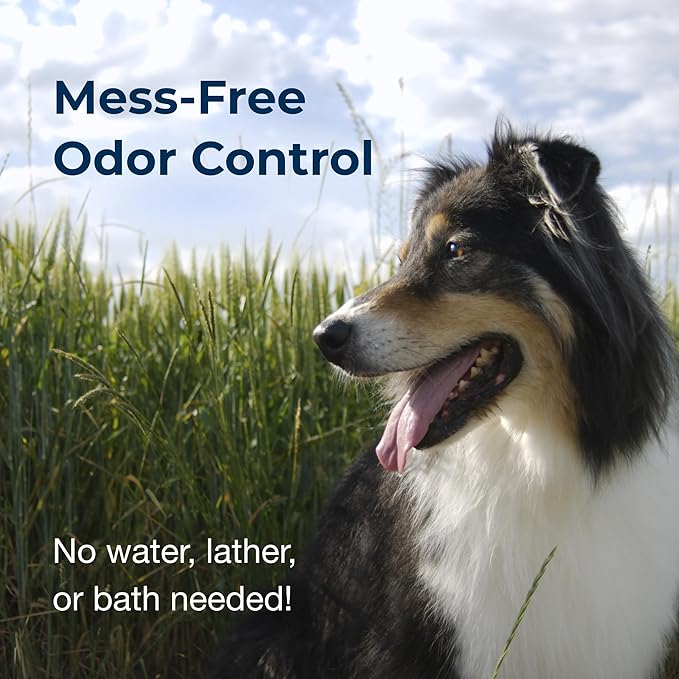 PetAg Fresh ’n Clean Cologne Spray - Baby Powder Scent - 6 oz, Pack of 2 - Controls Odor & Keeps Dogs Smelling Fresh