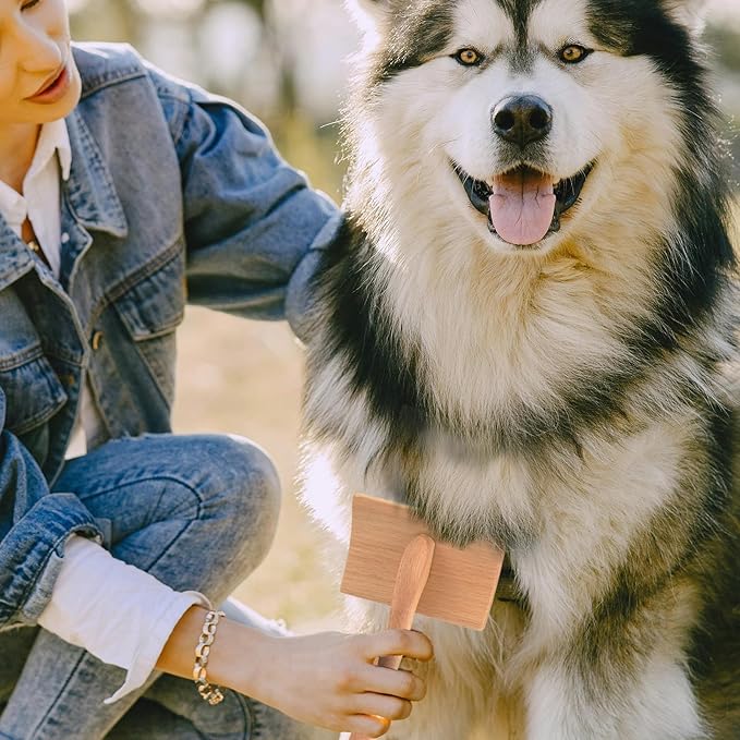 Long Pin Slicker Brush for Dogs (Goldendoodles, Labradoodles, Poodles) and Long Hair cat, Best Grooming Brush for Small Animals ,for Grooming Pet Hair, Beech Wood