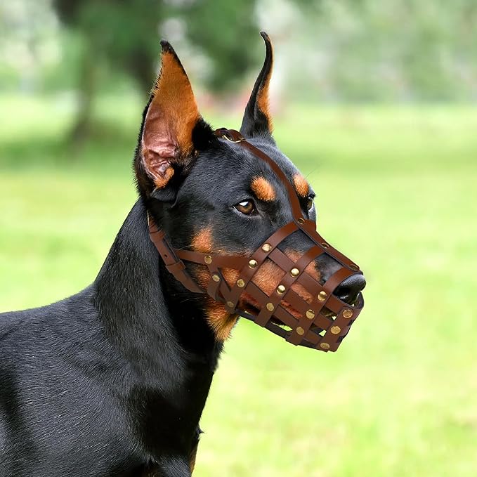 OOPSDOGGY Doberman Dog Muzzle for Large Dogs - Leather Breathable Secure Basket Muzzle for Large Breeds Husky German Shepherd Prevents Biting No Chewing Adjustable (Brown, Size 3 - Doberman)