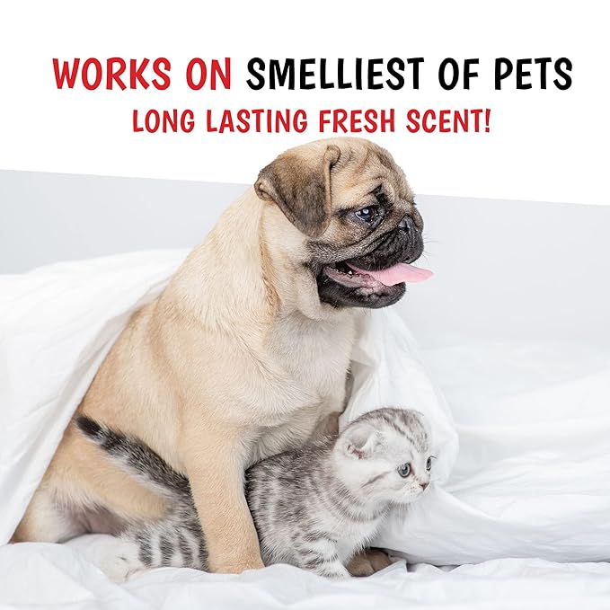 Warren London - Wet Kiss Dog Cologne, Long Lasting Dog Spray, Dog Deodorant to Remove Odor from Stinky Dogs, Tuscan Citrus, 2 Ounce Bottle