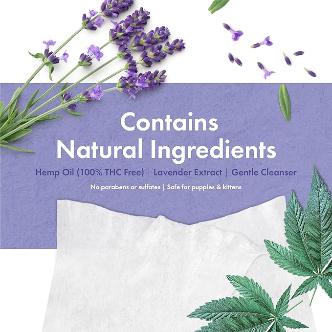 Petkin Hemp Pet Wipes for Dogs and Cats - with Hemp Oil & Calming Lavender Scent, 200 Count - Soothes, Calms & Conditions - Wipes for Pet's Face, Eyes and Body - for Home or Travel