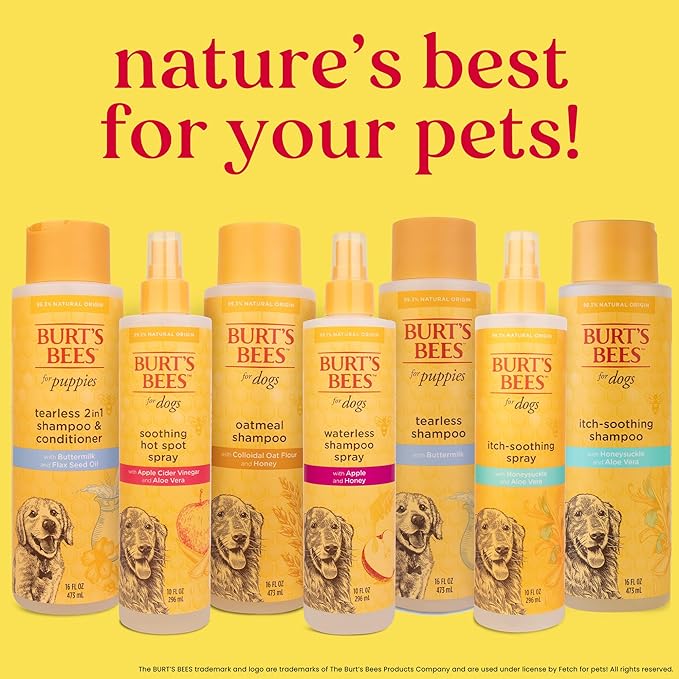 Burt's Bees for Pets Oatmeal Dog Shampoo with Colloidal Oat Flour and Honey, 95% Natural Origin Formulas, Shampoo for Dogs - Gentle Dog Shampoo, Best Dog Shampoo, 16 oz