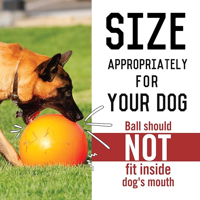 Doggie Dooley B00CIT99BC Virtually Indestructible Best Ball (hard plastic, colors may vary), All Breed Sizes , 14 inch