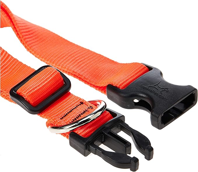 LupinePet Basics 1" Blaze Orange 16-28" Adjustable Collar for Large Dogs