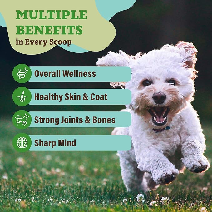Natural Dog Company Dog Food Topper, Super Greens Dog Multivitamin Powder, Dog Vitamins and Supplements, Boost Immunity & Digestion, Dog Wellness Granules, Nutrient-Rich Food Topper for Dogs, 8 oz