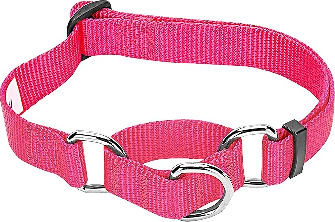 Blueberry Pet Essentials Martingale Safety Training Dog Collar, French Pink, Large, Heavy Duty Nylon Adjustable Collars for Dogs