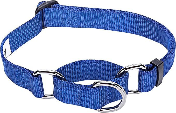 Blueberry Pet Essentials Martingale Safety Training Dog Collar, Royal Blue, X-Large, Heavy Duty Nylon Adjustable Collars for Dogs