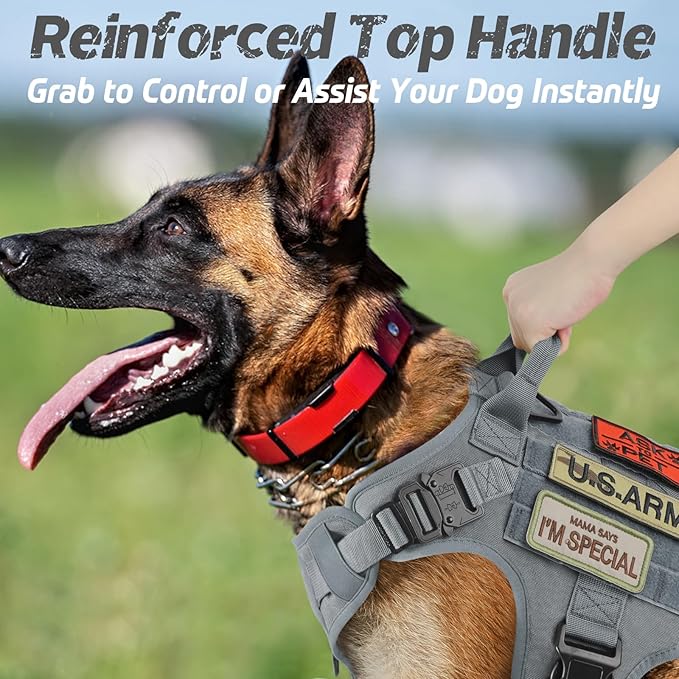 rabbitgoo Tactical Dog Harness for Large Dogs, Heavy Duty Dog Harness with Handle, No-Pull Service Dog Vest Large Breed, Adjustable Military Dog Vest Harness for Training Hunting Walking, Grey, L