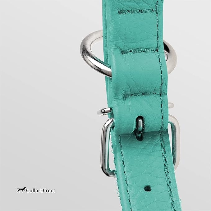 CollarDirect Rolled Leather Dog Collar, Soft Padded Round Puppy Collar, Handmade Genuine Leather Collar Dog Small Large Cat Collars 13 Colors (11-14 Inch, Mint Green Textured)