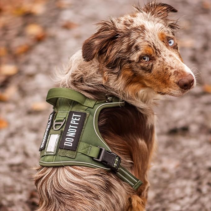 rabbitgoo Dog Harness for Large Dogs No Pull, Tactical Service Dog Vest with Molle and Control Handle, Adjustable and Reflective Military Pet Harness for Easy Walking and Training, Orange, XL