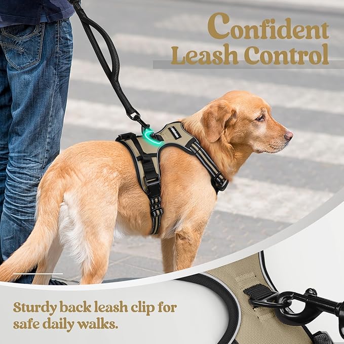 rabbitgoo Dog Harness, No-Pull Pet Harness with 2 Leash Clips, Adjustable Soft Padded Dog Vest, Reflective No-Choke Pet Oxford Vest with Easy Control Handle for Small Dogs, Beige, S