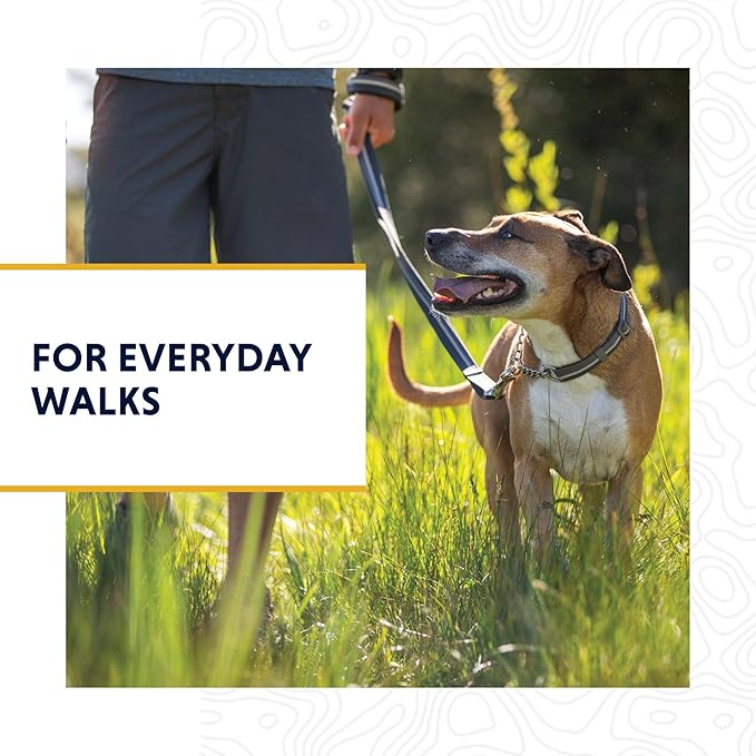 Ruffwear, Chain Reaction Dog Collar, Martingale Style for On-Leash Walking, Basalt Gray, 11"-14"