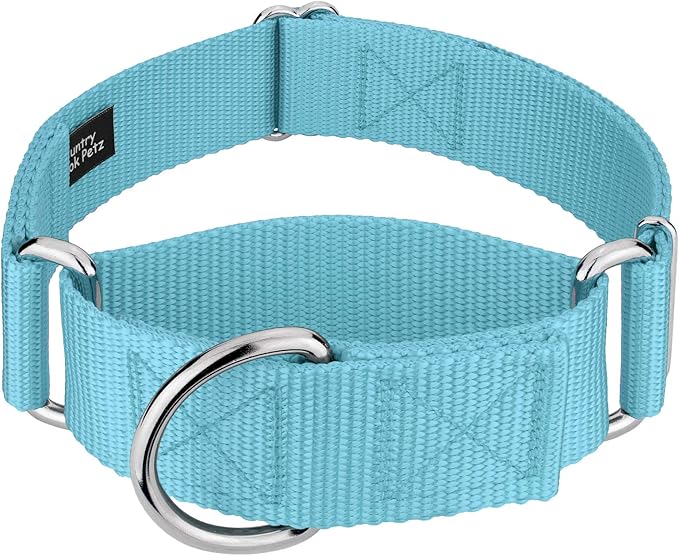 Country Brook Petz 1 1/2 Inch Martingale Heavy Duty Nylon Adjustable Dog Collar for Small, Medium, Large Breeds - Vibrant 17 Color Selection (Ocean Blue, Medium)