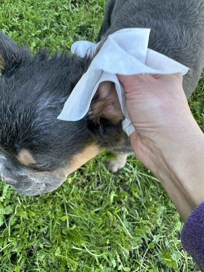 Bleu's Multi-Wipe pet Wipe Dog and Cat Grooming Blueberry Scented Ideal for Ears, Eyes and Tears, Face, Nose, Paws, Claws, Fur, Tails and Booties. Eco-Friendly, compostable